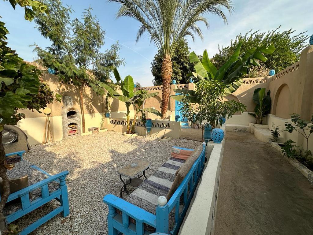 Villa Rebecca Professor'S Paradise Luxor Exterior photo