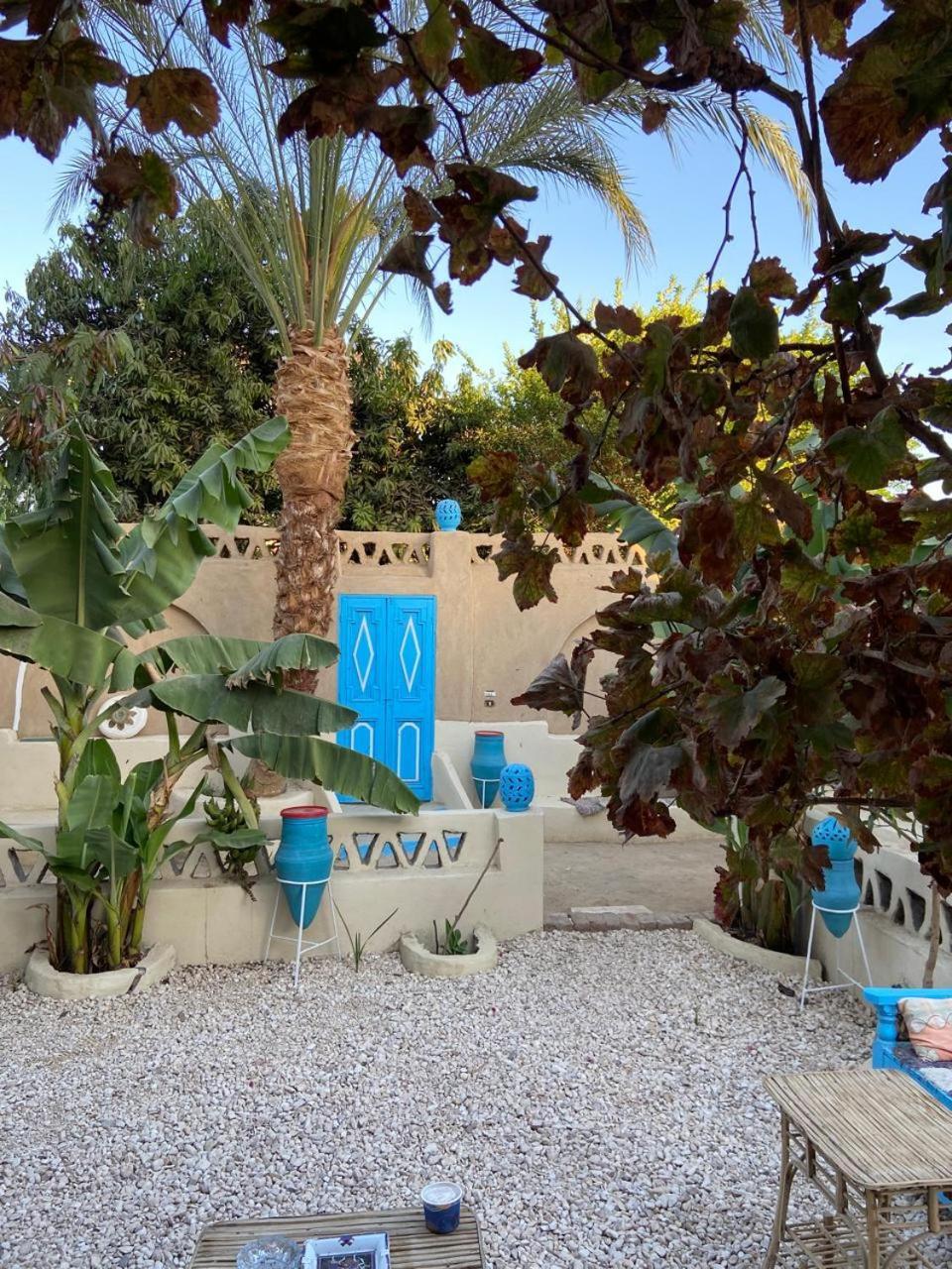 Villa Rebecca Professor'S Paradise Luxor Exterior photo